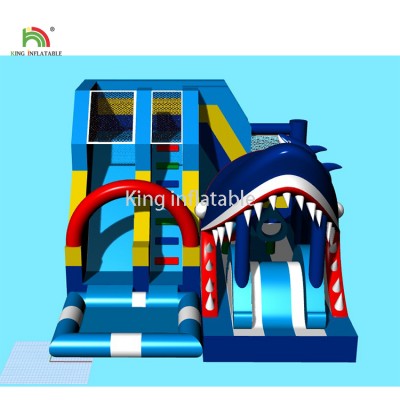 2019 New Design Shake theme Inflatable Water Slide With Water Pool